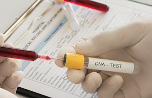 Oak Park paternity lawyer DNA testing